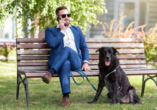 Business-Alltag und Hundehaltung unter einen Hut bringen