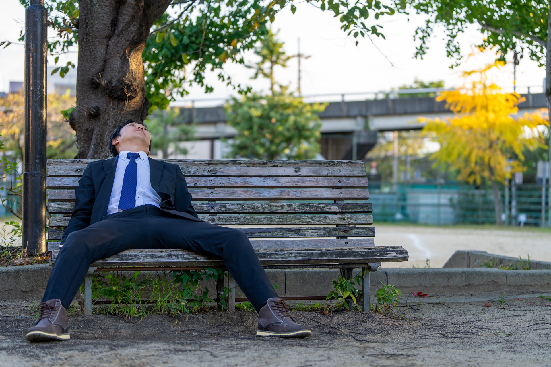 Erschöpfter Mann ruht auf Parkbank | Ovalpool